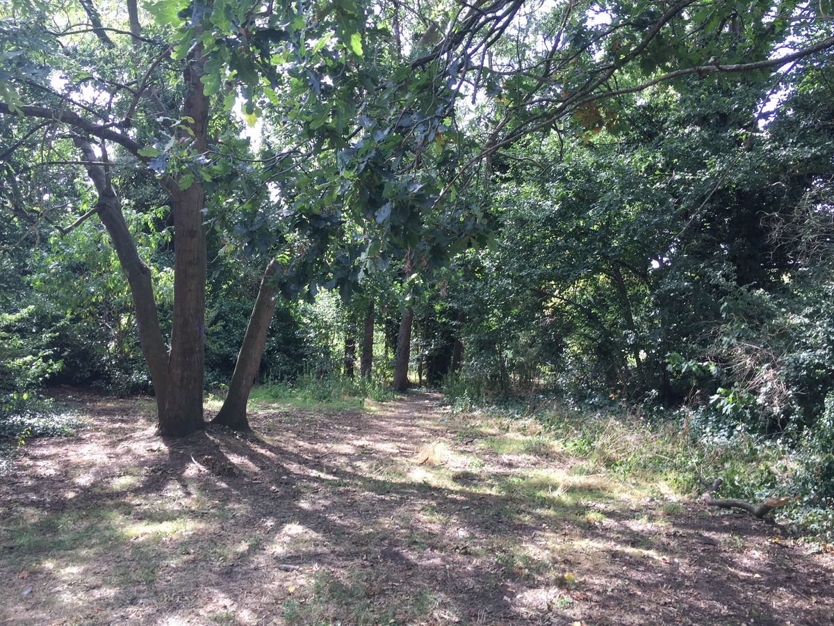 Shrubbery near the vehicle gate